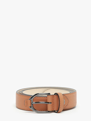 Longchamp Longchamp 3d Riem Bruin