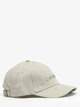 Pet Calvin klein jeans Beige must K511987-vue-porte