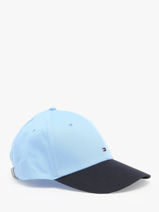 Pet Tommy hilfiger Blauw essential flag AM11478-vue-porte