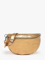 Heuptasje Nine Leder Milano Goud nine NI21123