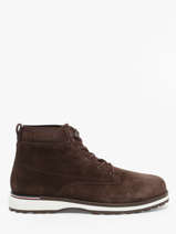 Enkellaarzen Uit Leder Tommy hilfiger Bruin men 5147GT6