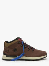 Sneakers Sprint Trekker Uit Leder Timberland Bruin men 6DQDW071