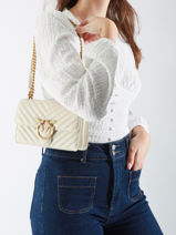 Cross Body Tas Love Bag Quilt Leder Pinko Wit love bag quilt A0GK-vue-porte