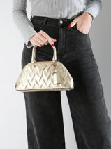 Cross Body Tas Adelard Polyurethaan Guess Goud adelard GM950205-vue-porte