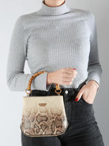 Cross Body Tas Eire Polyurethaan Guess Beige eire KO951501-vue-porte