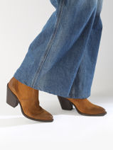 Enkellaarsjes Met Hak Tronchetti Texani Uit Leder Metisse Bruin women XD798-vue-porte