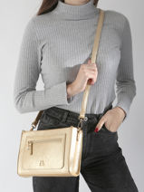Cross Body Tas Bright Lulu castagnette Goud bright WHITNEY-vue-porte