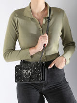 Cross Body Tas Love Bag Icon Pinko Veelkleurig love bag icon A20F-vue-porte