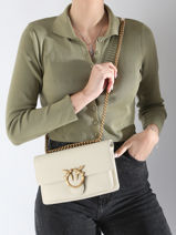 Cross Body Tas Love Bag Soft Leder Pinko Beige love bag soft 4528A29Q-vue-porte