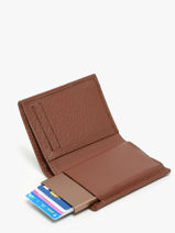 Portefeuille Leder Yves renard Bruin foulonne 23510-vue-porte
