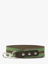Longchamp Bandoulire graphique Longchamp Groen-vue-porte