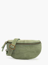 Heuptasje Milano Groen velvet VE19091
