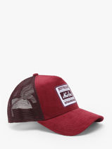 Verstelbare Pet New era Rood new era 60603670-vue-porte