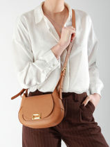 Cross Body Tas Paulette Leder Lancel Bruin paulette A13330-vue-porte
