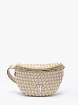 Belt Bag Tessa Gevlochten Laurent david Goud ld bags 8