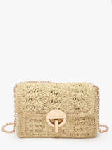 Crossbody Tas Moyen Moon Raffia Vanessa bruno Goud moon raphia 91V40533