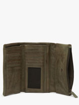 Portefeuille Leder Biba Groen wallet TOT2L-vue-porte