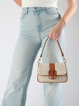 Cross Body Tas Celine Laurent david Bruin ld bags 951-vue-porte