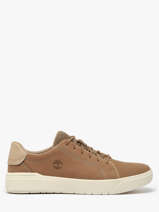 Sneakers Seneca Bay Uit Leder Timberland Bruin men 5TY5DR01