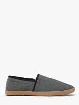 Espadrilles Tommy hilfiger Blauw men 5391DW5