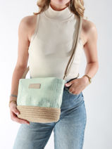 Cross Body Tas Iris Raffia Le voyage en panier Blauw guimauve PM289-vue-porte
