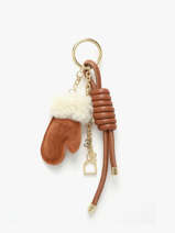 Tashengsel Alpin Etrier Bruin alpin EALP406M