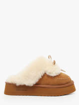 Slippers Nathan baume Bruin accessoires 252N9001