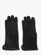 Handschoenen Isotoner Zwart women gloves 85159