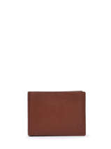Portefeuille Smooth Leder Yves renard Bruin smooth 1572