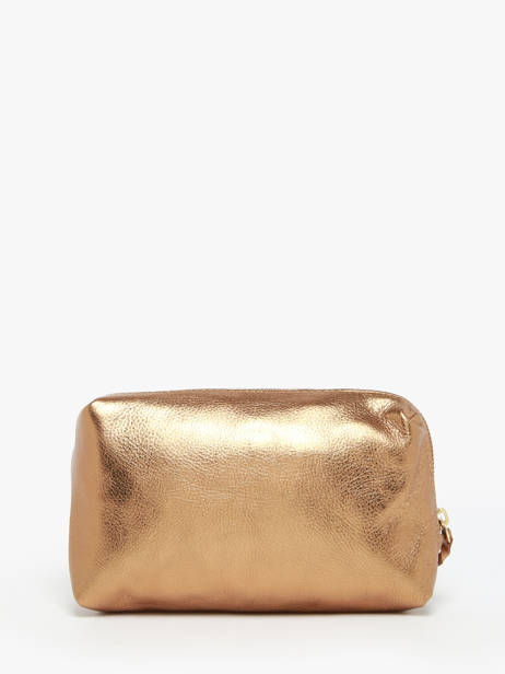 Etui Leder Paul marius Goud vintage ADELE ander zicht 2