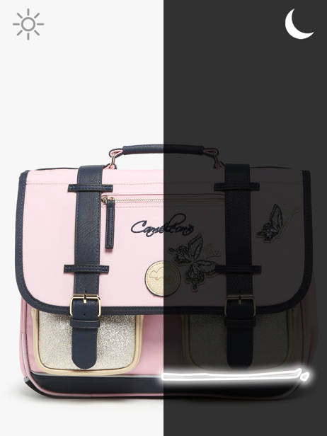 Boekentas 2 Compartimenten Cameleon Roze vintage family boulanger CA35 ander zicht 7