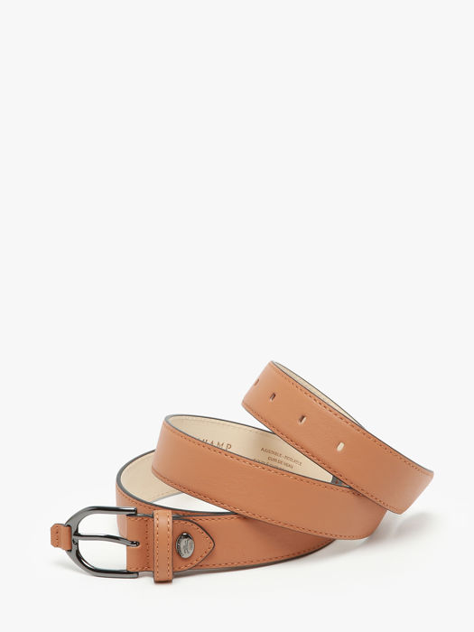 Longchamp Longchamp 3d Riem Bruin