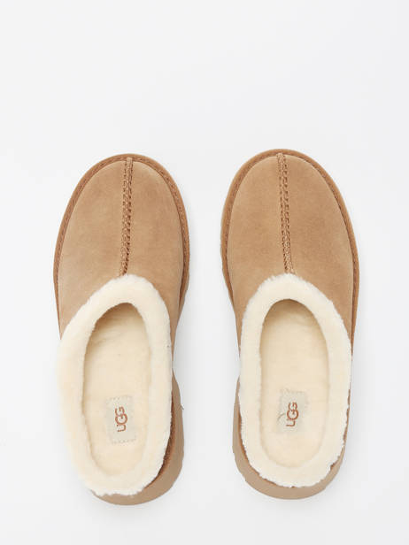 Boots New Height Cozy Uit Leder Ugg Beige women 1162510 ander zicht 4