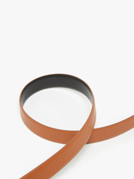 Riem Tommy hilfiger Bruin belt AW16840 ander zicht 3