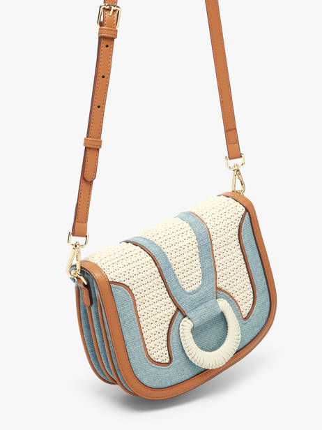 Cross Body Tas Celine Laurent david Bruin ld bags 893 ander zicht 2