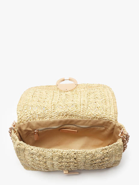 Crossbody Tas Moyen Moon Raffia Vanessa bruno Goud moon raphia 91V40533 ander zicht 3