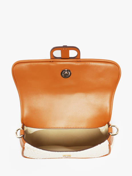 Cross Body Tas Celine Laurent david Bruin ld bags 951 ander zicht 3