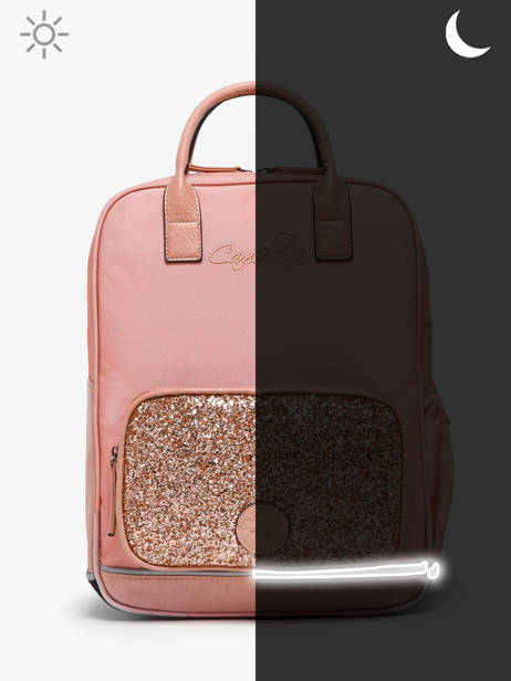 Rugzak 2 Compartimenten Cameleon Roze vintage fantasy PBVGSD37 ander zicht 7