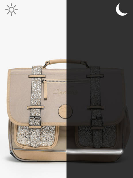 Boekentas 2 Compartimenten Cameleon Beige vintage fantasy PBVGCA38 ander zicht 7