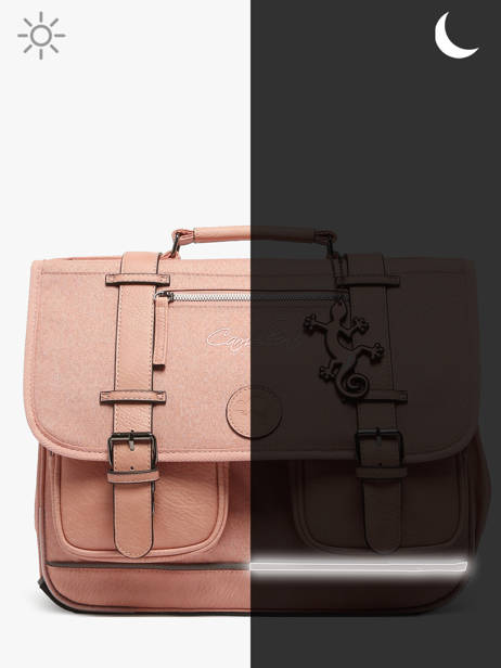 Boekentas 2 Compartimenten Cameleon Roze vintage color CA38 ander zicht 8