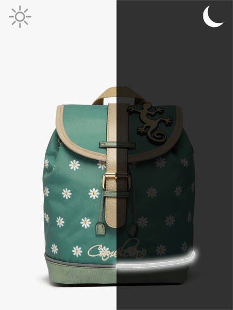 Rugzak 1 Compartiment Cameleon Groen vintage fantasy SD25 ander zicht 6