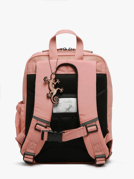 Rugzak 2 Compartimenten Cameleon Roze vintage fantasy SD33 ander zicht 4
