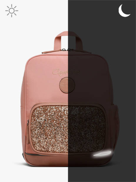Rugzak 2 Compartimenten Cameleon Roze vintage fantasy SD33 ander zicht 7