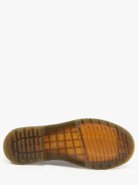 Enkellaarzen 1460 Pascal Uit Leder Dr martens Bruin men 40967200 ander zicht 4