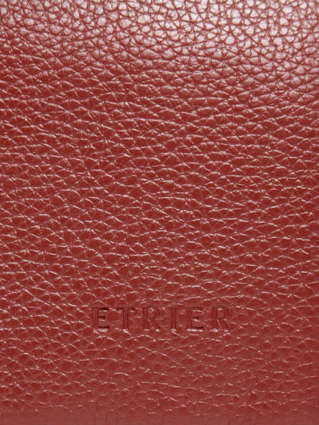 Laptophoes Flandres 15'' Leder Etrier Rood flandres EFLA8835 ander zicht 3