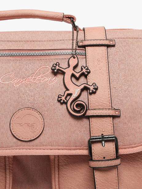 Boekentas 2 Compartimenten Cameleon Roze vintage color CA38 ander zicht 6