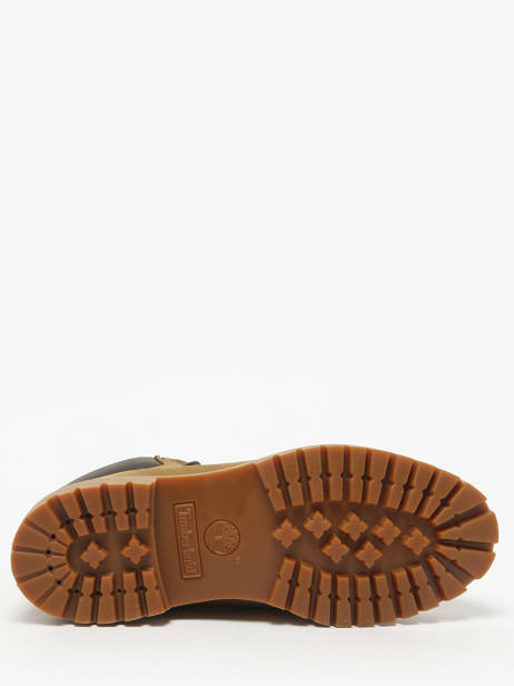 Enkellaarzen Uit Leder Timberland Groen men 2P6WA5D1 ander zicht 4
