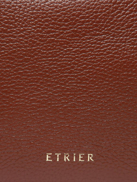 Rugzak Tradition Leder Etrier Bruin tradition ETRAB37S ander zicht 5