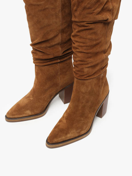 Laarzen Met Hak Camden Uit Leder Alpe Bruin women 52191101 ander zicht 8